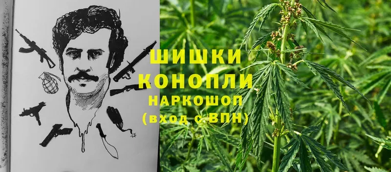 Конопля SATIVA & INDICA  где найти   МЕГА   Россошь 